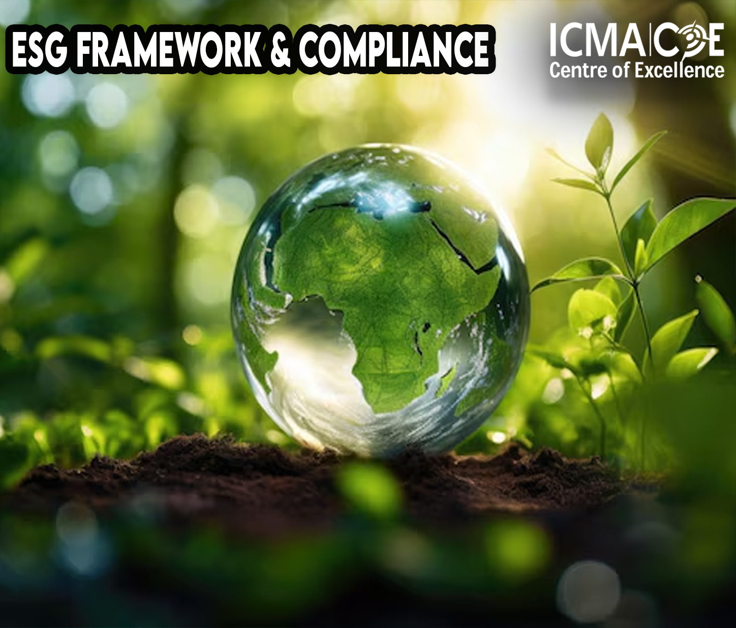 ESG Framework & Compliance